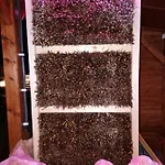 Z Teznia Solankowa, Sauna, Kominkiem Led Nad Jeziorem Zywieckim Apartmán *