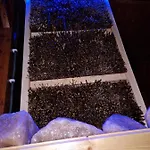 Z Teznia Solankowa, Sauna, Kominkiem Led Nad Jeziorem Zywieckim Apartmán
