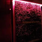 Apartmán Z Teznia Solankowa, Sauna, Kominkiem Led Nad Jeziorem Zywieckim Zarzecze (Silesia)