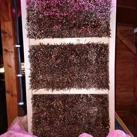 Z Teznia Solankowa, Sauna, Kominkiem Led Nad Jeziorem Zywieckim شقة *