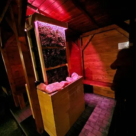 Z Teznia Solankowa, Sauna, Kominkiem Led Nad Jeziorem Zywieckim