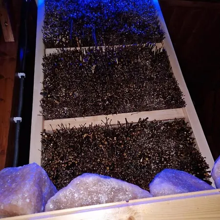 Z Teznia Solankowa, Sauna, Kominkiem Led Nad Jeziorem Zywieckim Διαμέρισμα