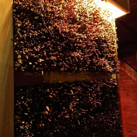 Διαμέρισμα Z Teznia Solankowa, Sauna, Kominkiem Led Nad Jeziorem Zywieckim