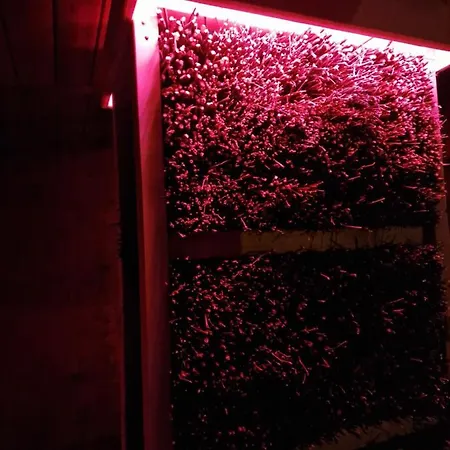 Διαμέρισμα Z Teznia Solankowa, Sauna, Kominkiem Led Nad Jeziorem Zywieckim Zarzecze (Silesia)