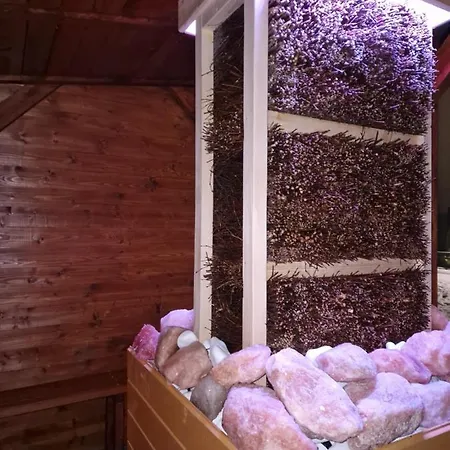 Διαμέρισμα Z Teznia Solankowa, Sauna, Kominkiem Led Nad Jeziorem Zywieckim Zarzecze (Silesia)