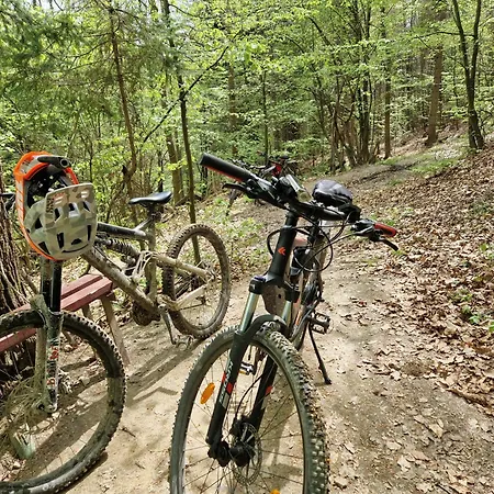 Z Teznia Solankowa, Sauna, Kominkiem Led Nad Jeziorem Zywieckim *