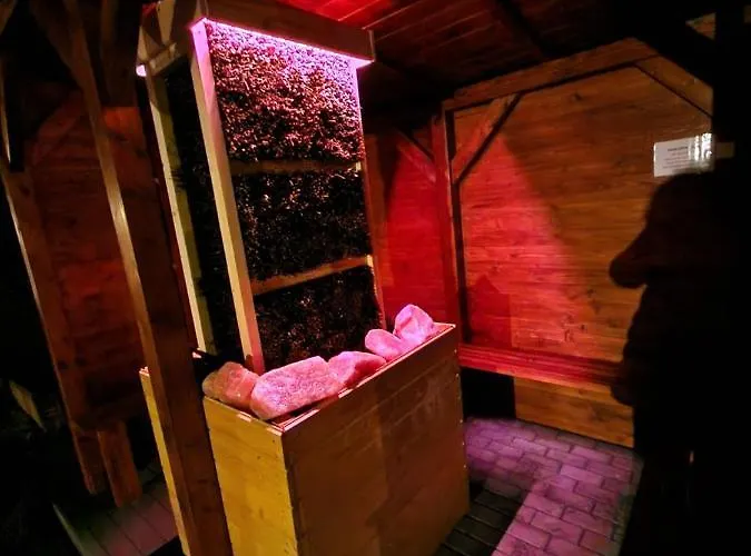 Z Teznia Solankowa, Sauna, Kominkiem Led Nad Jeziorem Zywieckim