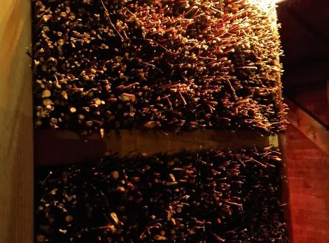 דירה Z Teznia Solankowa, Sauna, Kominkiem Led Nad Jeziorem Zywieckim