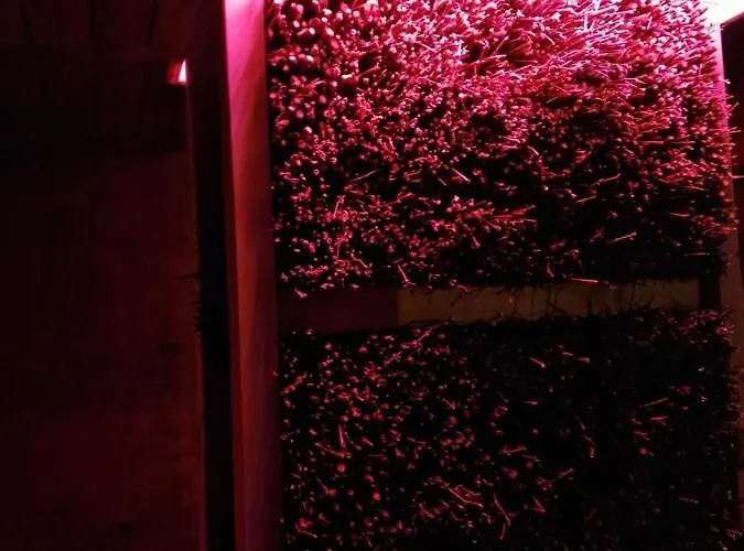 דירה Z Teznia Solankowa, Sauna, Kominkiem Led Nad Jeziorem Zywieckim זאז'צ'ה