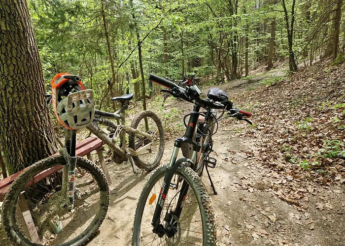 Z Teznia Solankowa, Sauna, Kominkiem Led Nad Jeziorem Zywieckim *